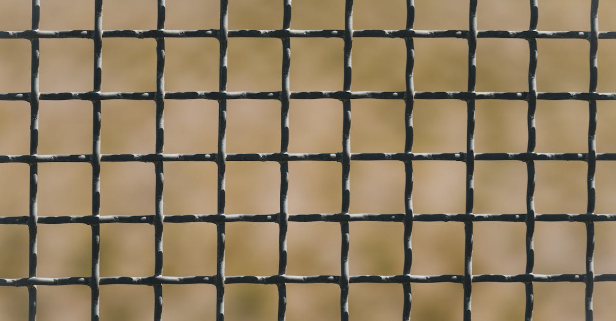 详情下载教程最右app至桌面