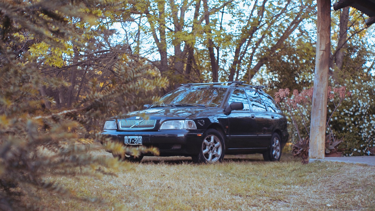 WX老号发卡网:云南工程招标代理平台