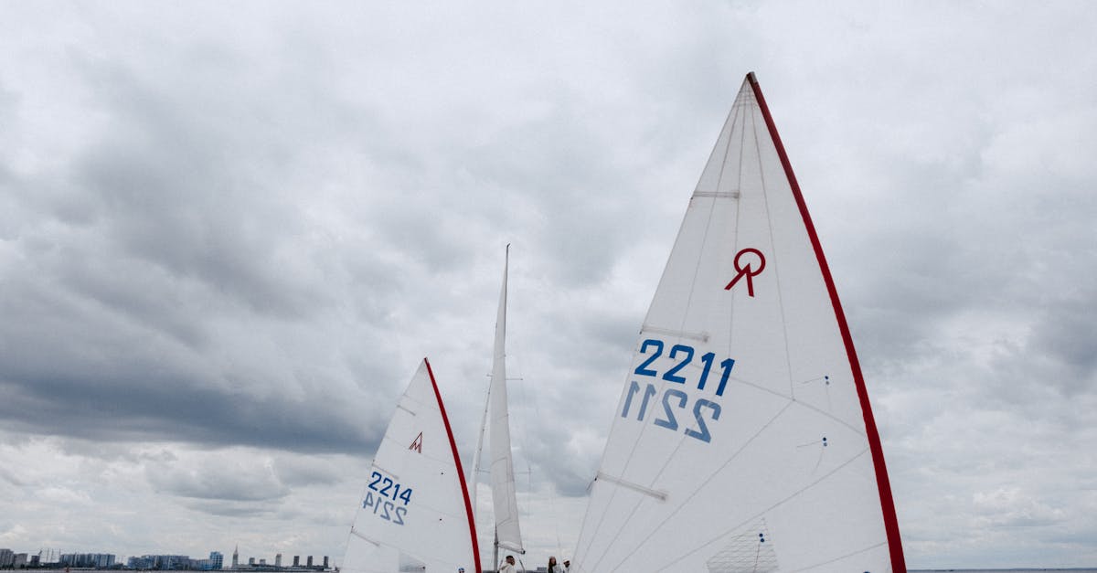 蜂巢互联实名账号：上海注册代理机构