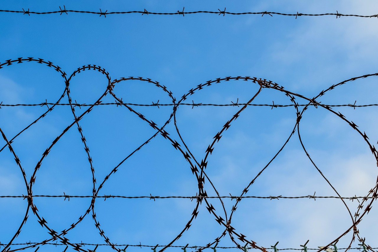 极光实名账号：团队竞技爱游戏app官方详情下载教程