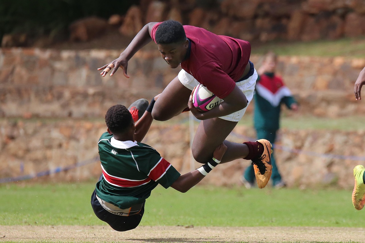 铁塔猫烟花芒果珠（细）：我的世界邮箱官网注册账号