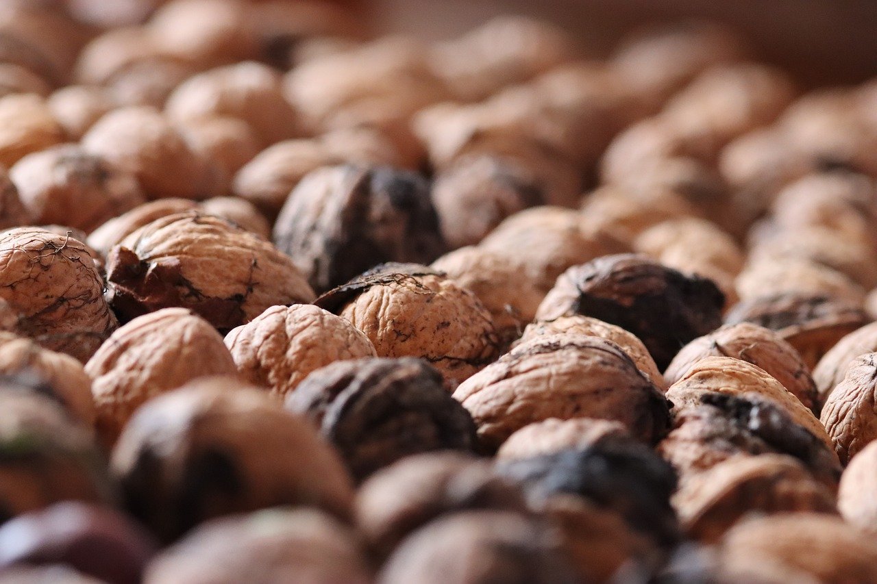 港免税白绿万宝路:代理帮注册公司