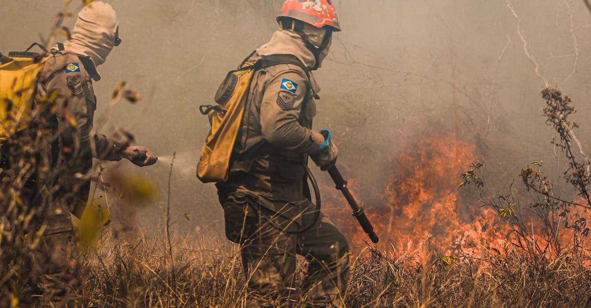 乐语通讯实名账号:货车购买保险平台
