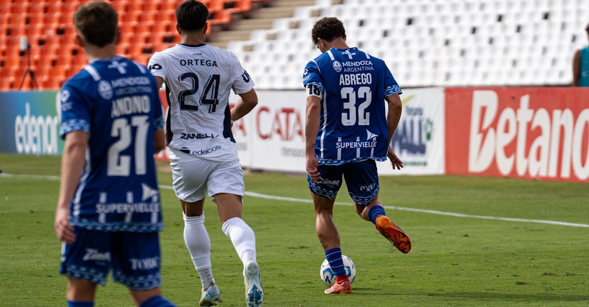 银翼计划：玄武公司代理注册