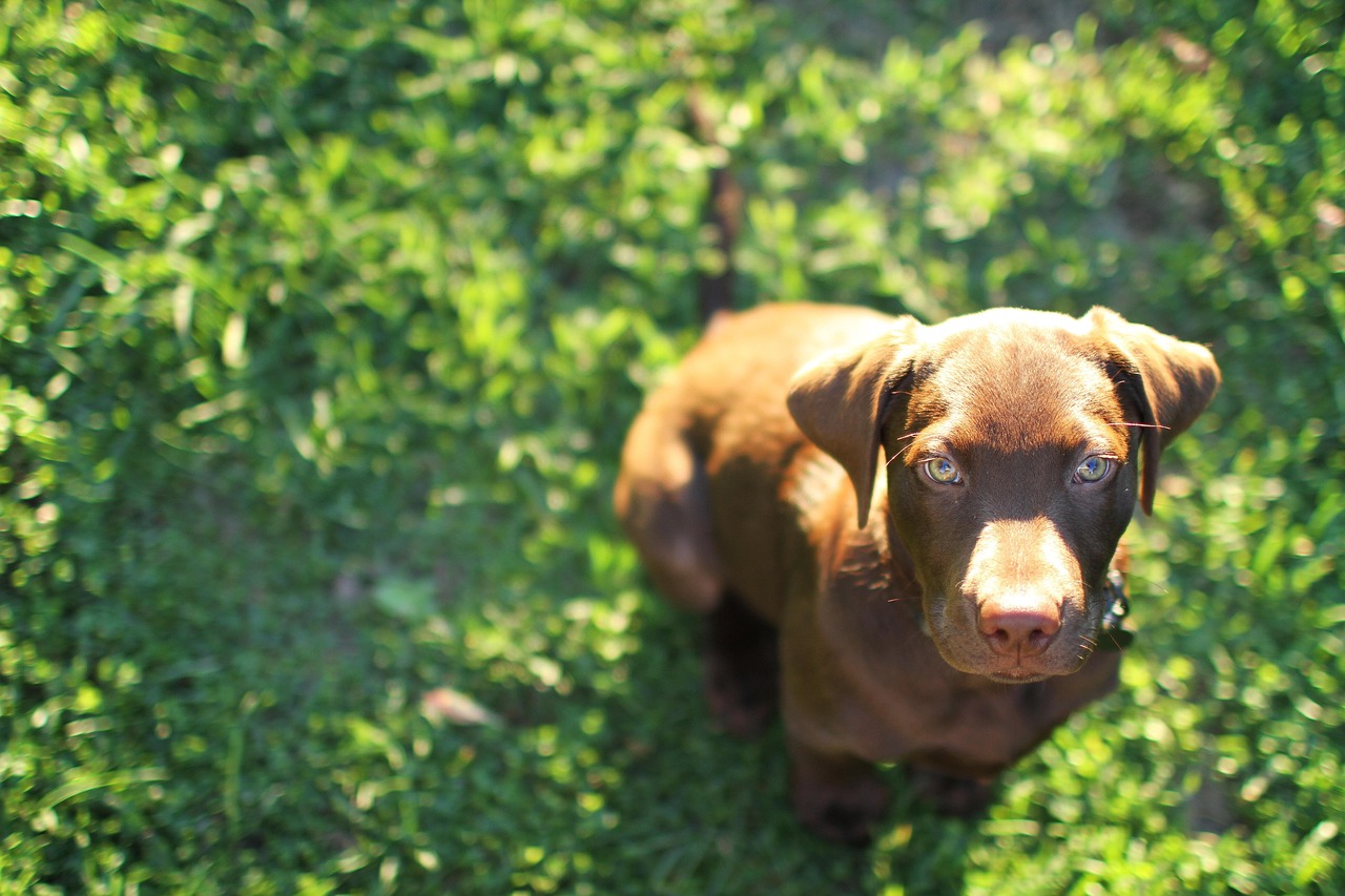 七星柔和(4mg):富阳区代理记账注册公司