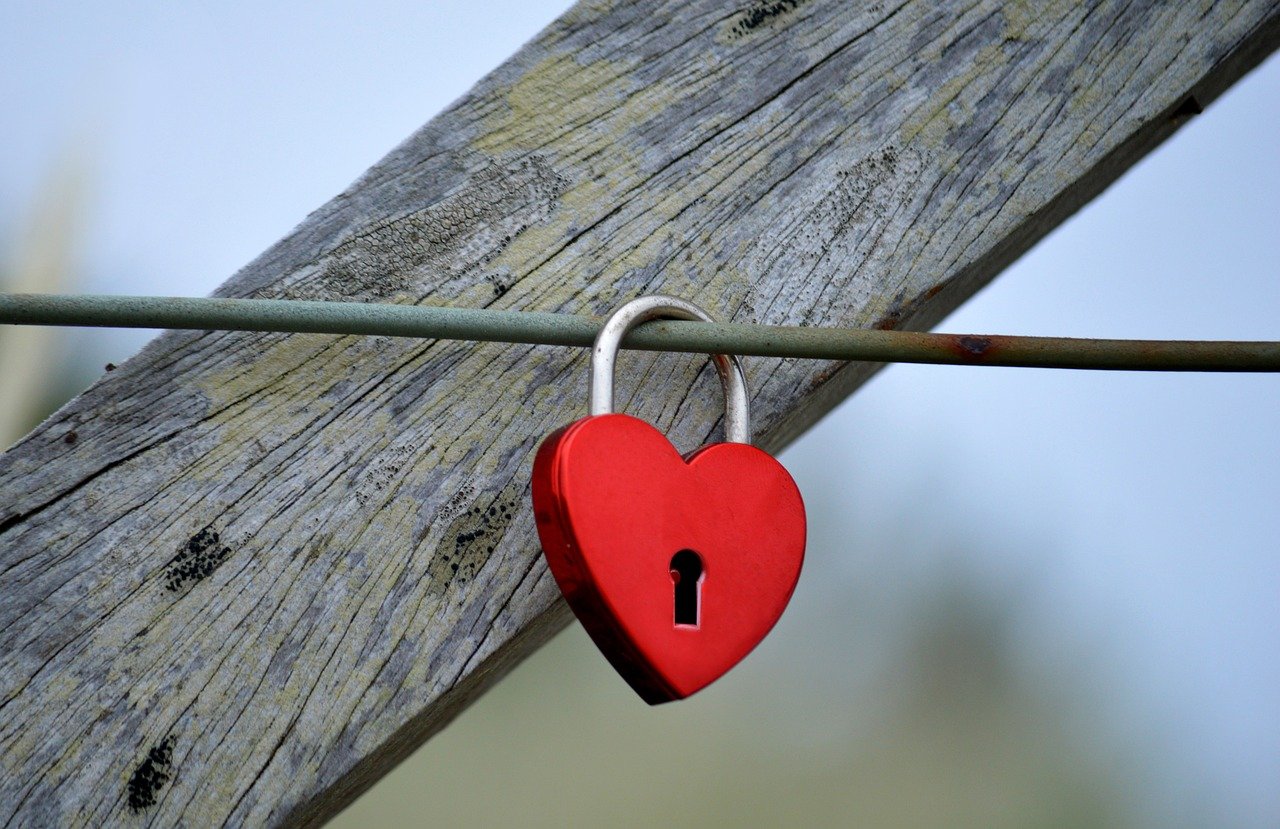 绿摩尔：钉钉怎么样注册身份证账号