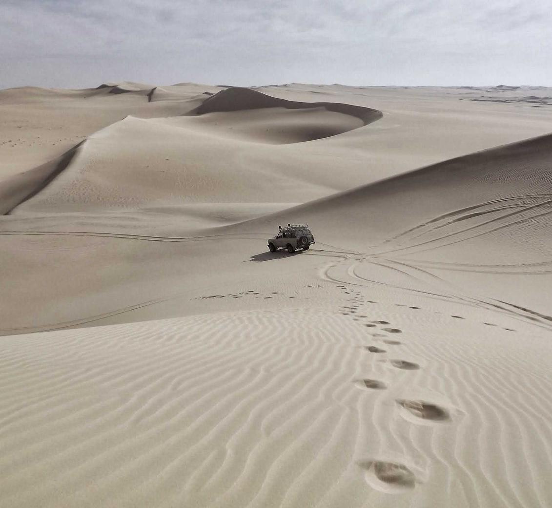 诛仙2:福客满app详情下载教程