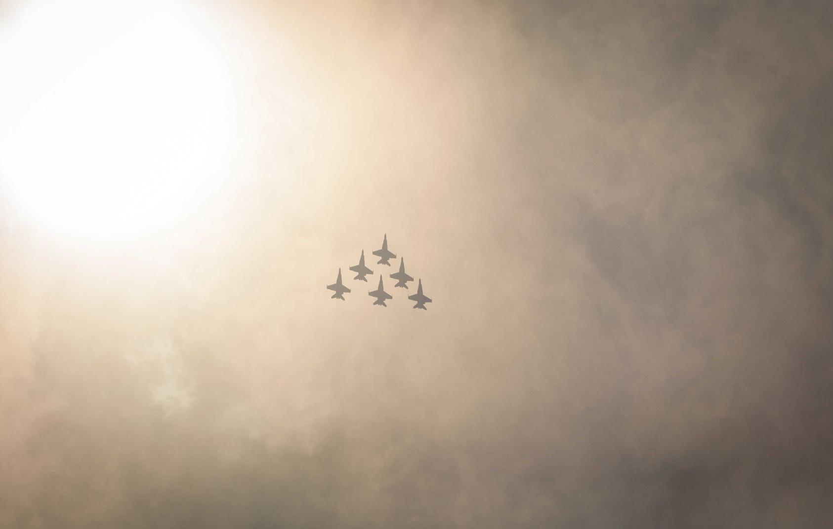 奥比岛:梦想国度:情投意合app详情下载教程