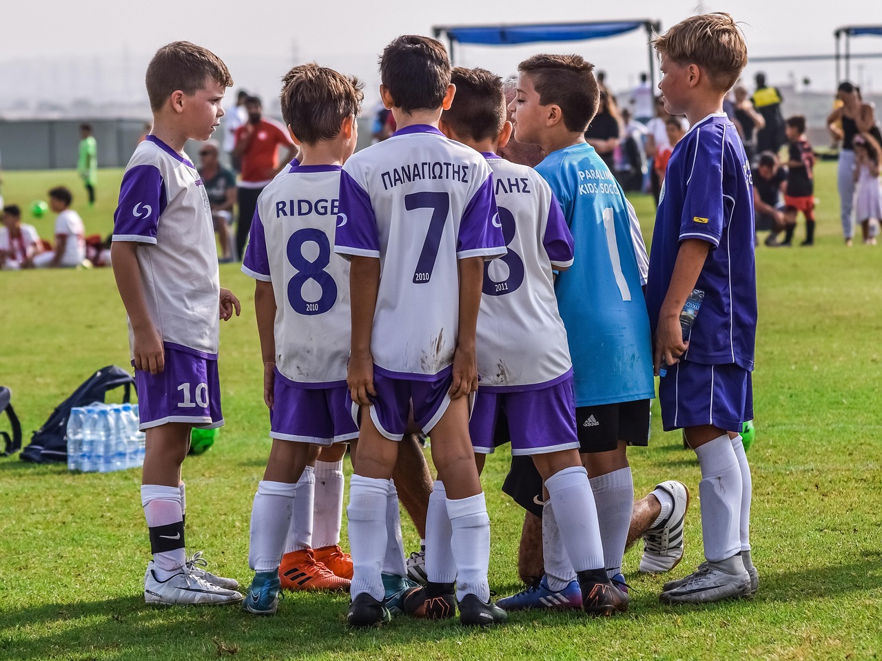 富途青岛新东方官方账号注册